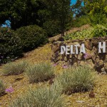 Delta Hawaii Stone Wall Sign