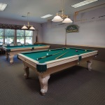 Pine Ridge South Pool Table